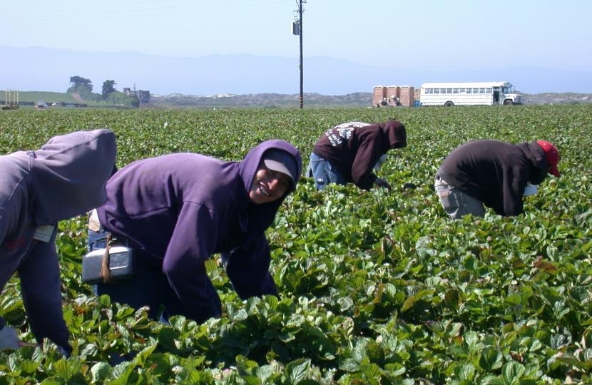 Seasonal workers scheme