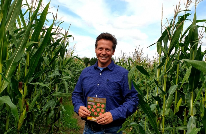 Nigel at Cropthorne Maize Maze