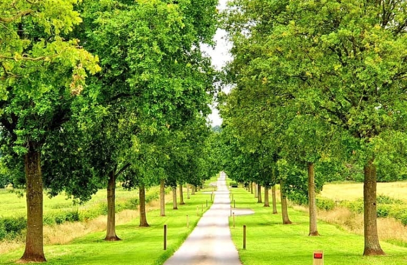 Batsford Arboretum