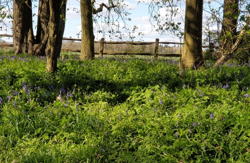 Croome Court