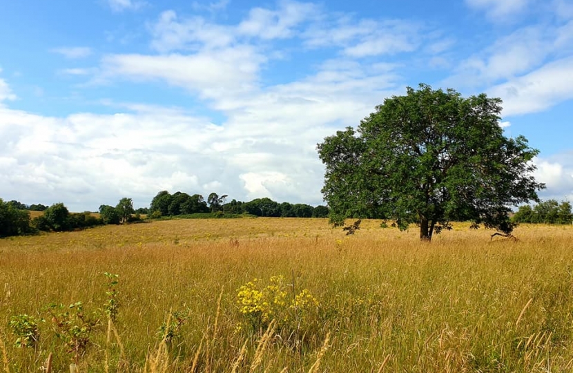 the Heart of England Forest 1