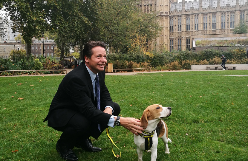 October 2017 - Nigel and Bonnie the Beagle