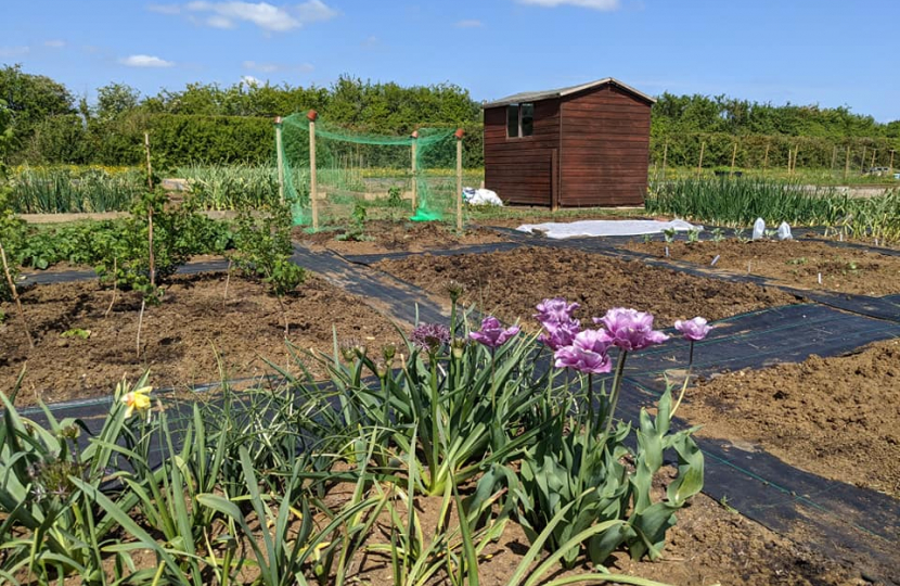 opening of Pear Tree Fields 