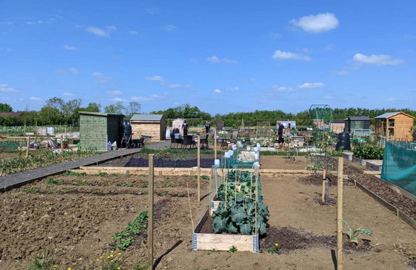 opening of Pear Tree Fields 