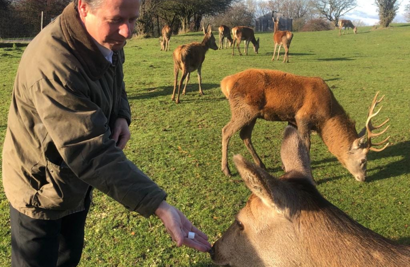 Visit to the Deer Park at Broadway Tower