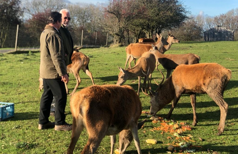 Visit to the Deer Park at Broadway Tower