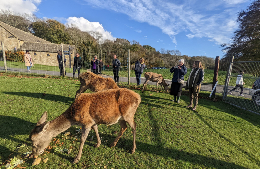 Visit to the Deer Park at Broadway Tower