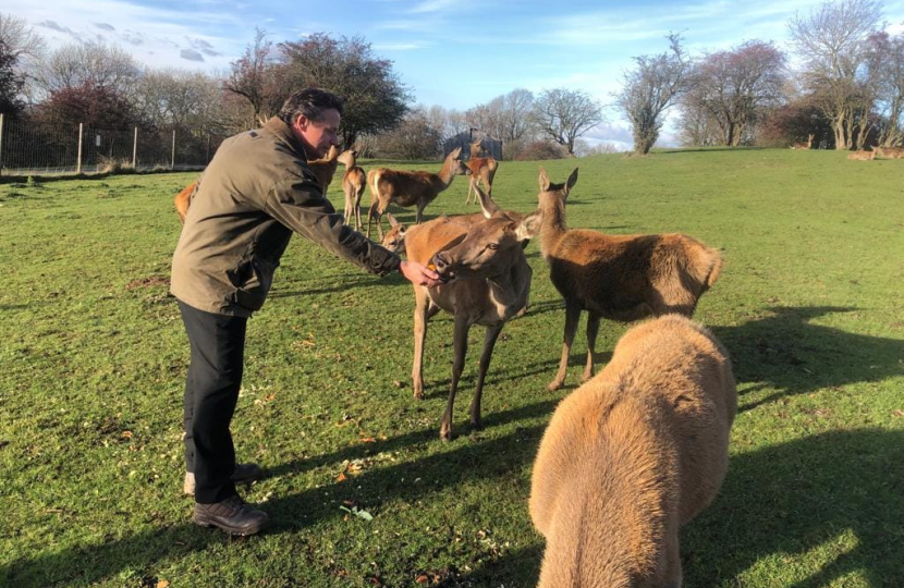 Visit to the Deer Park at Broadway Tower