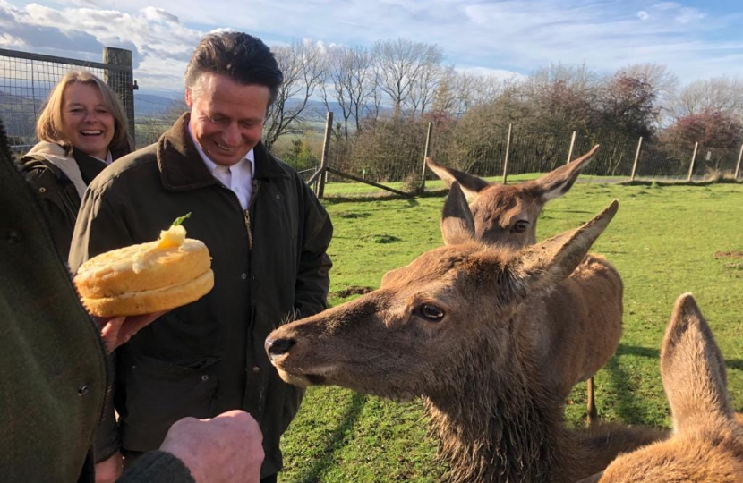 Visit to the Deer Park at Broadway Tower