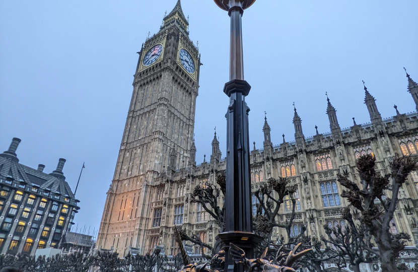 His Majesty King Charles III visits Parliament