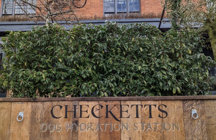 Dog hydration station outside the deli