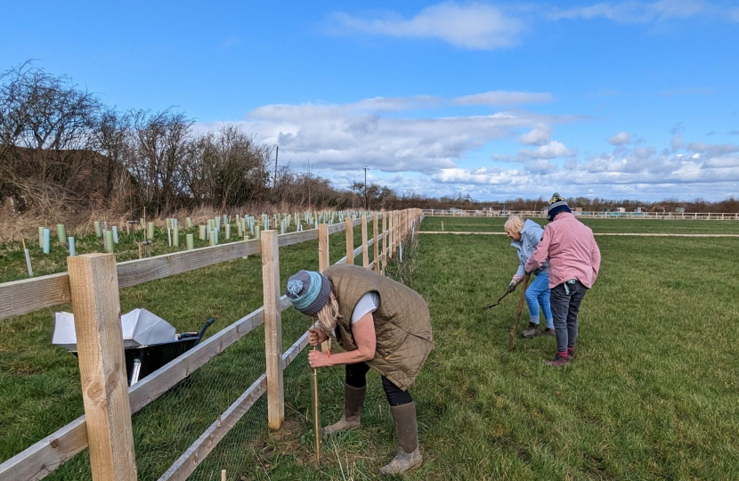 Tree Planting