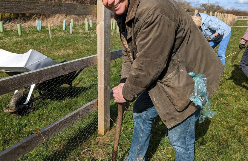 Tree Planting