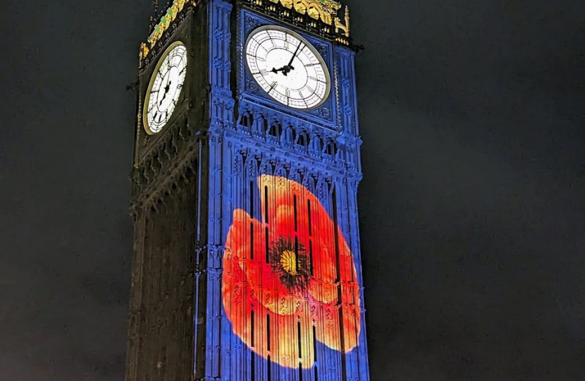 Westminster during Remembrance.