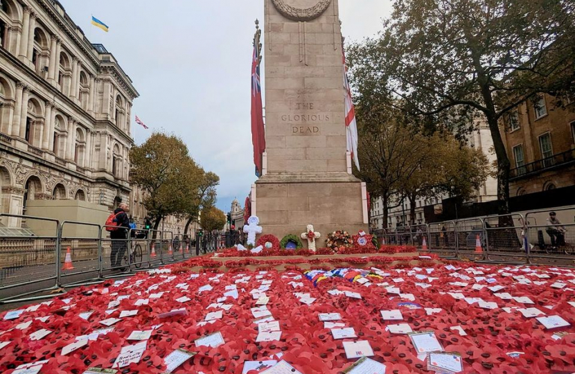 Westminster during Remembrance.