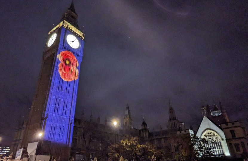 Westminster during Remembrance.