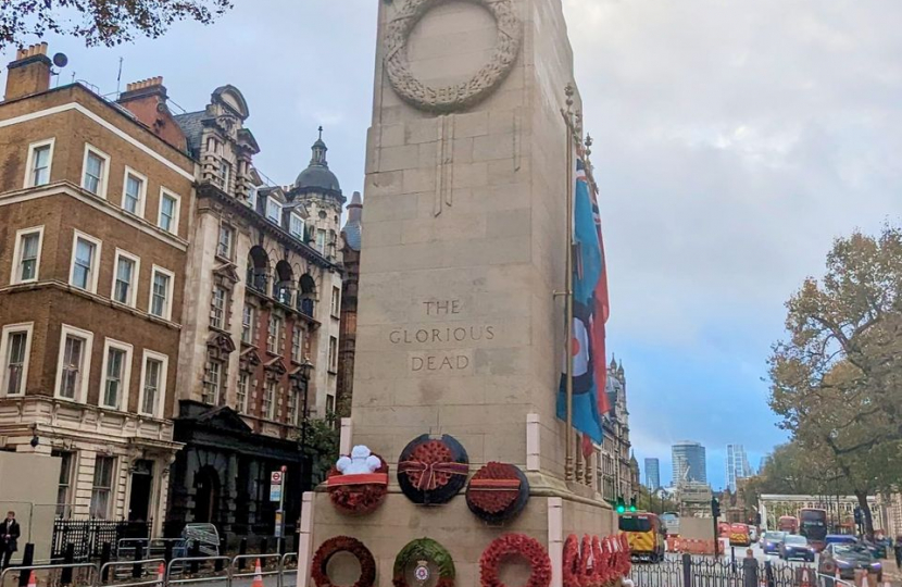 Westminster during Remembrance.