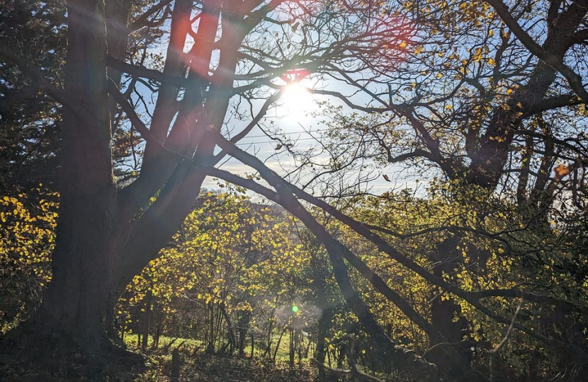 Walking in Mid Worcestershire.