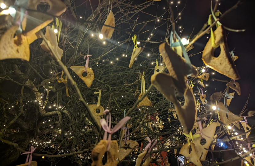 A memorable evening with cider, singing, dancing - and, of course, hanging toast on the tree - at the Wassail at The Fleece Inn, Bretforton.