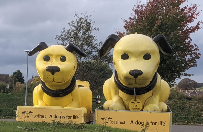 Visit to the Dogs Trust rehoming centre 