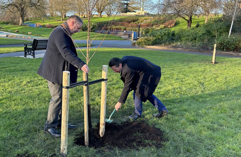 Trees Planted as part of Sakura Cherry Tree Project