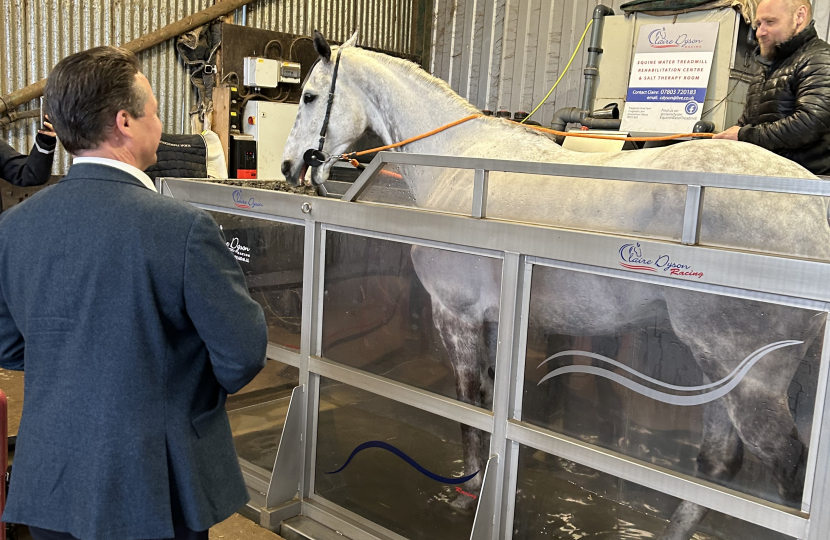 Visit to Claire Dyson Equine Water Treadmill & Rehabilitation Centre