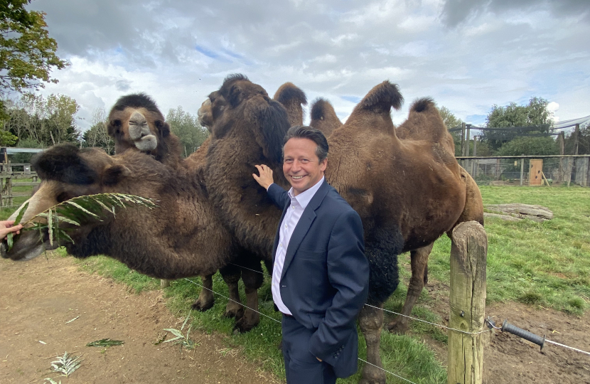 Nigel Huddleston MP feeding camels.