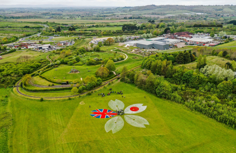 Celebrating the Sakura Cherry Tree Project