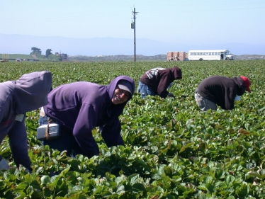 Seasonal workers scheme