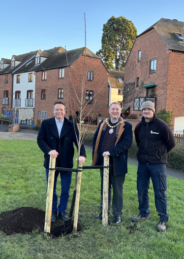 Trees Planted as part of Sakura Cherry Tree Project