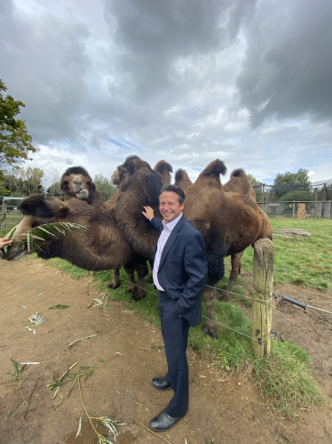 Nigel Huddleston MP feeding camels.